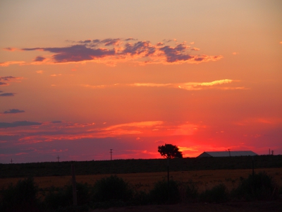 [The sun, already below the horizon, fires an orange-red color from the ground to the undersides of the few clouds in the sky. The outline of a tree and the ground are backlit by the setting sun.]